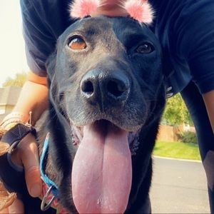 Meet your Posher, Jill